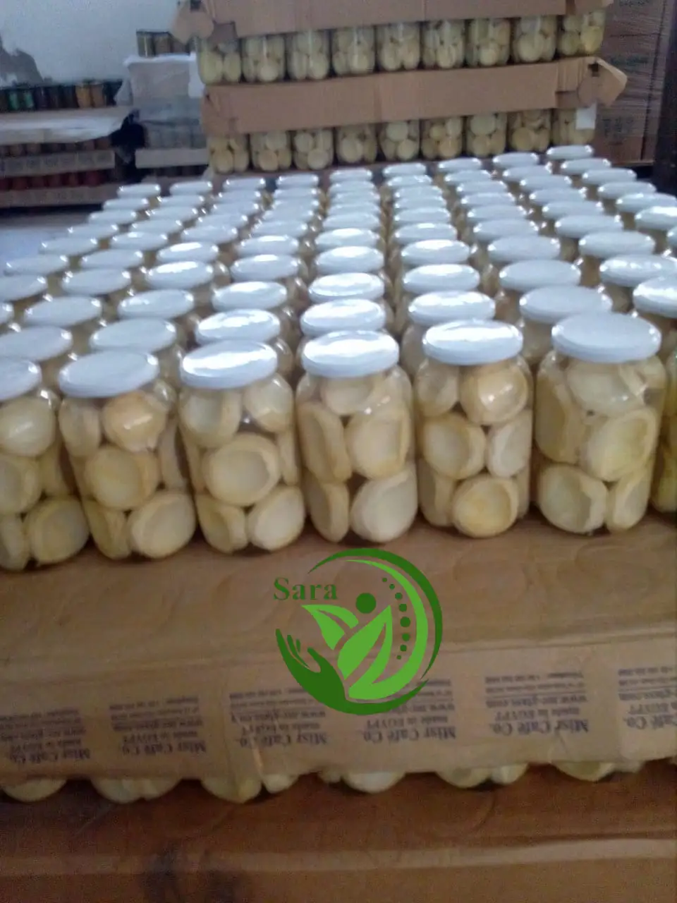 Canned artichoke Exporter From Egypt